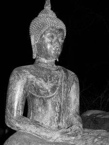 Buddha night v