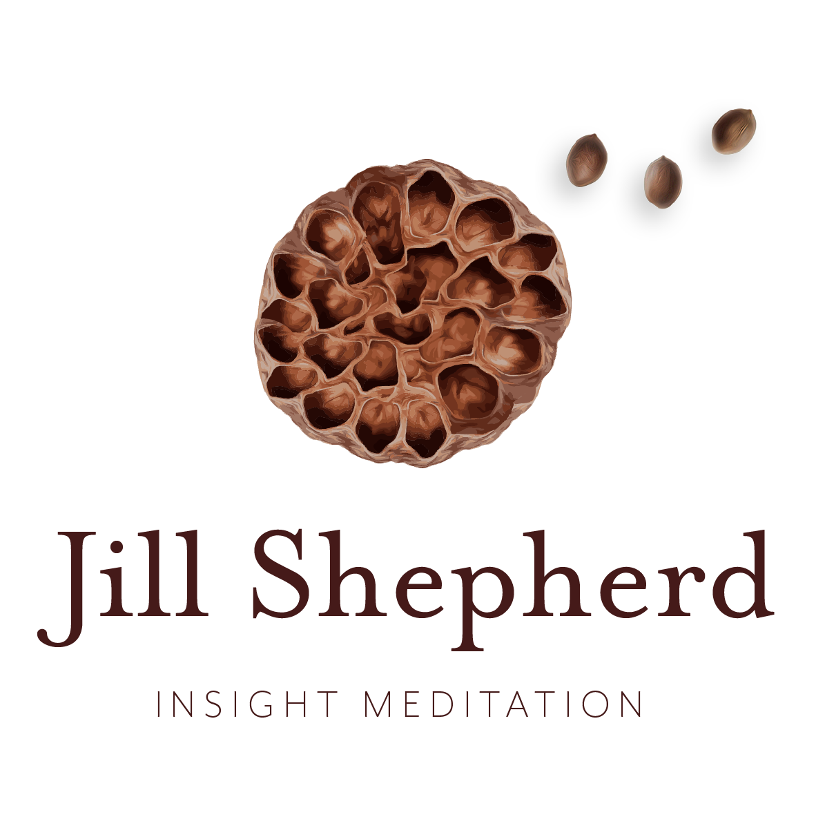 Jill Shepherd: insight meditation